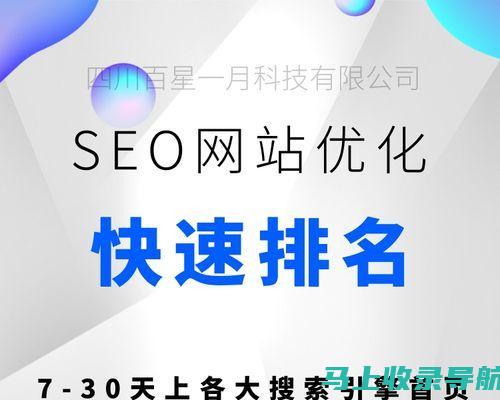 SEO查询的含义与应用：搜索引擎优化的关键步骤解析