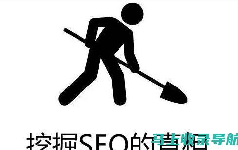 SEO高手也推荐：免费网站优化秘籍，轻松提升流量与转化率